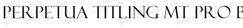 Perpetua Titling MT Pro Bold字体转换